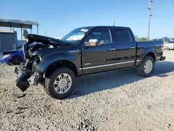 Salvage cars for sale at Tifton, GA auction: 2013 Ford F150 Supercrew