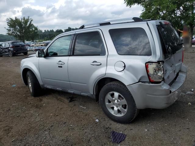 2011 Ford Escape Limited