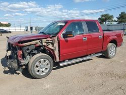 Salvage cars for sale at Newton, AL auction: 2013 Ford F150 Supercrew