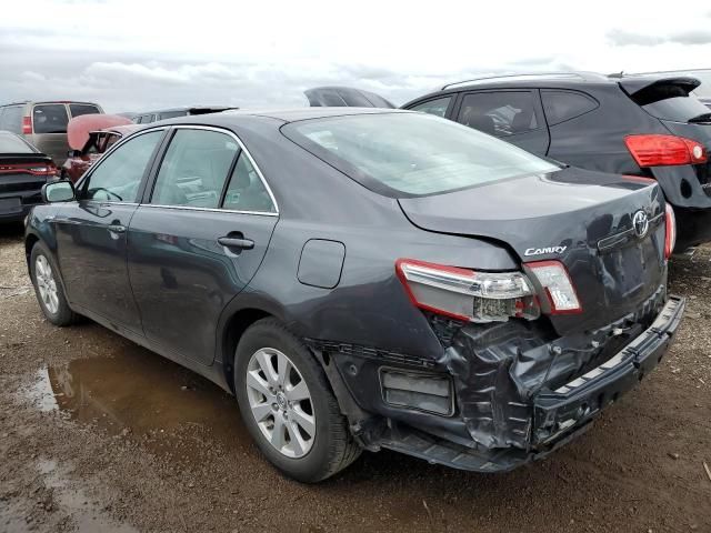 2009 Toyota Camry Hybrid