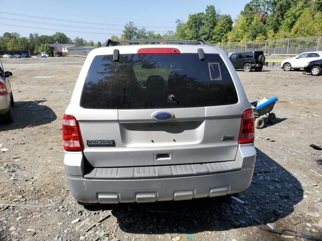 2010 Ford Escape XLT