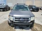 2008 Ford Escape HEV