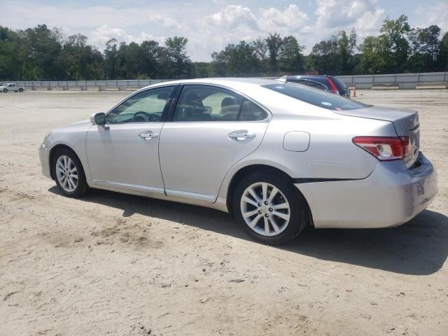 2010 Lexus ES 350