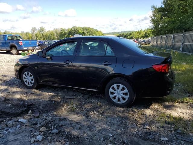 2010 Toyota Corolla Base