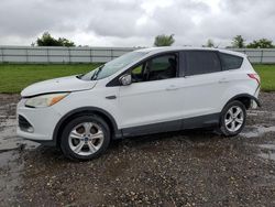 Salvage cars for sale at auction: 2013 Ford Escape SE