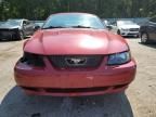 2004 Ford Mustang