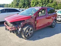 Salvage cars for sale at Glassboro, NJ auction: 2018 Ford Escape SEL