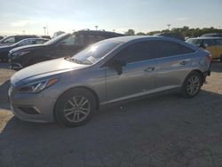 Salvage cars for sale at Indianapolis, IN auction: 2017 Hyundai Sonata SE