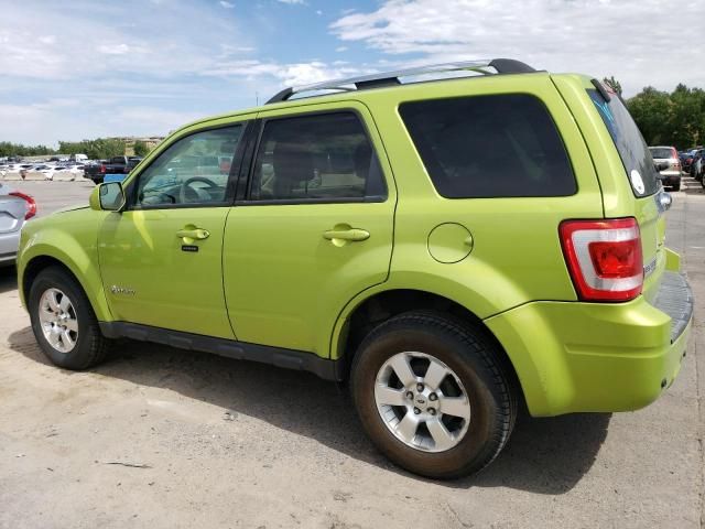 2011 Ford Escape Hybrid