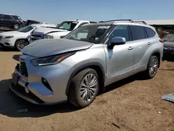 Salvage cars for sale at Brighton, CO auction: 2021 Toyota Highlander Platinum