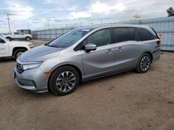 Salvage cars for sale at Greenwood, NE auction: 2024 Honda Odyssey EXL