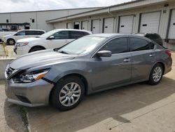 2017 Nissan Altima 2.5 en venta en Louisville, KY