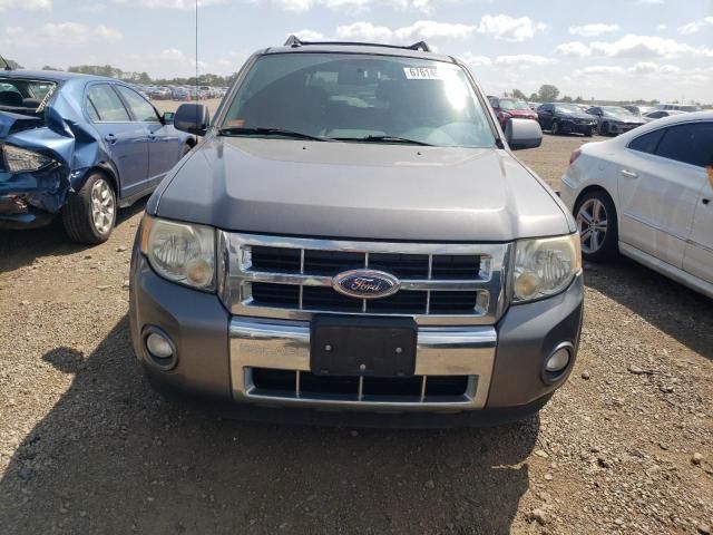 2009 Ford Escape Limited