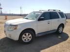 2010 Mercury Mariner