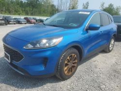 Ford Vehiculos salvage en venta: 2020 Ford Escape SE