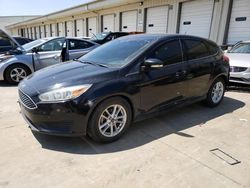 Ford salvage cars for sale: 2016 Ford Focus SE