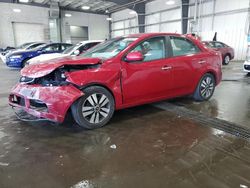 Salvage cars for sale at Ham Lake, MN auction: 2013 KIA Forte EX