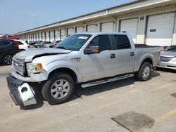 Ford Vehiculos salvage en venta: 2013 Ford F150 Supercrew