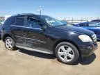 2010 Mercedes-Benz ML 350