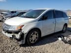 2013 Honda Odyssey EXL