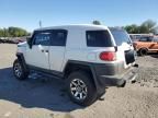 2008 Toyota FJ Cruiser