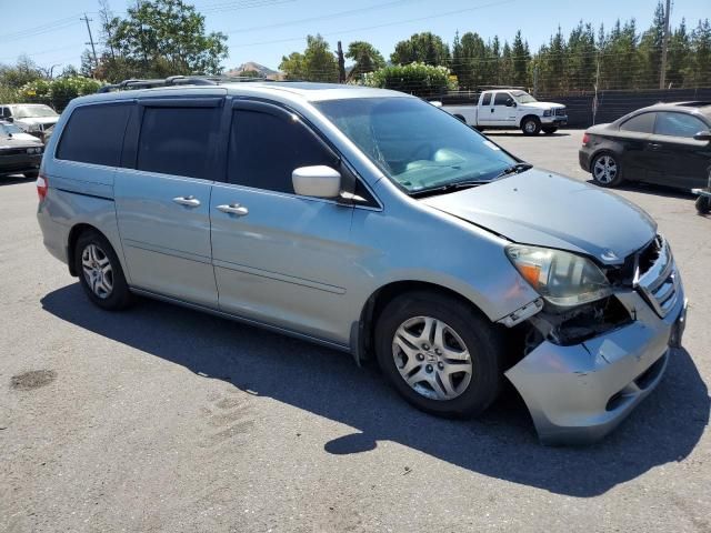 2005 Honda Odyssey EXL