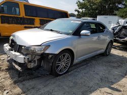 Salvage cars for sale at Seaford, DE auction: 2012 Scion TC