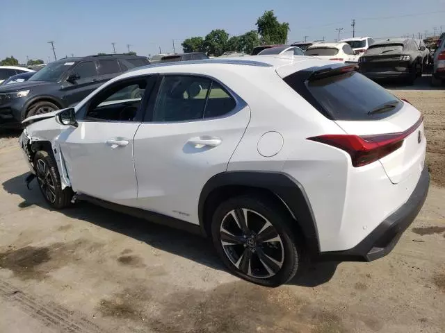 2022 Lexus UX 250H Base