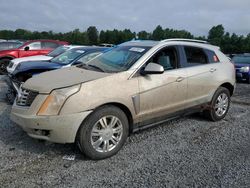 Flood-damaged cars for sale at auction: 2014 Cadillac SRX Luxury Collection