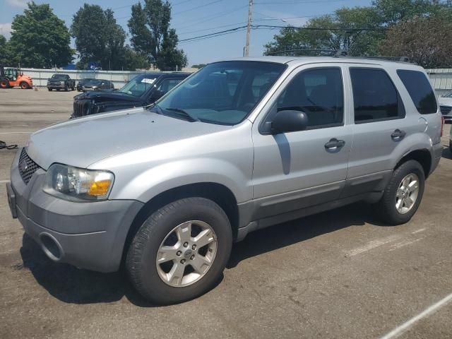 2007 Ford Escape XLT