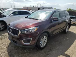 Salvage cars for sale at Elgin, IL auction: 2016 KIA Sorento LX