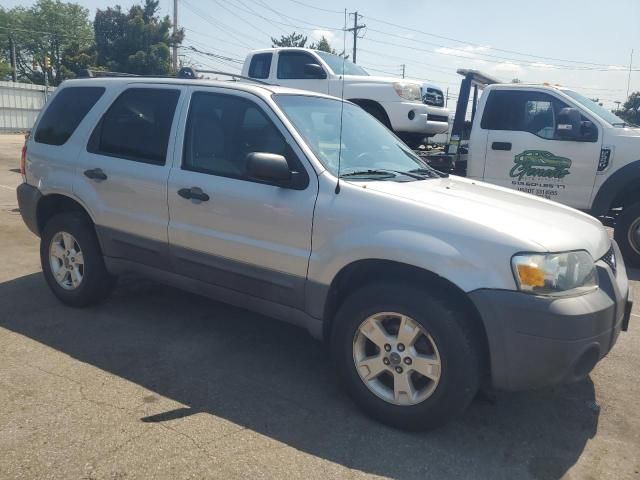 2007 Ford Escape XLT