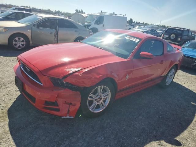 2014 Ford Mustang