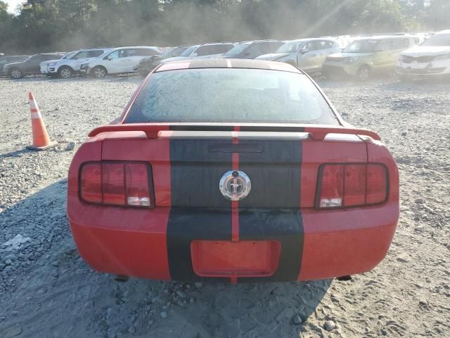 2005 Ford Mustang