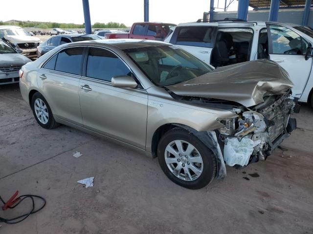 2009 Toyota Camry Hybrid