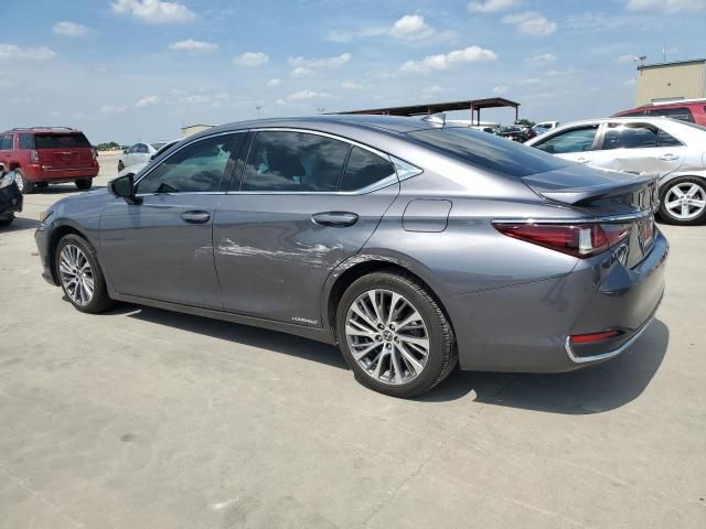 2020 Lexus ES 300H