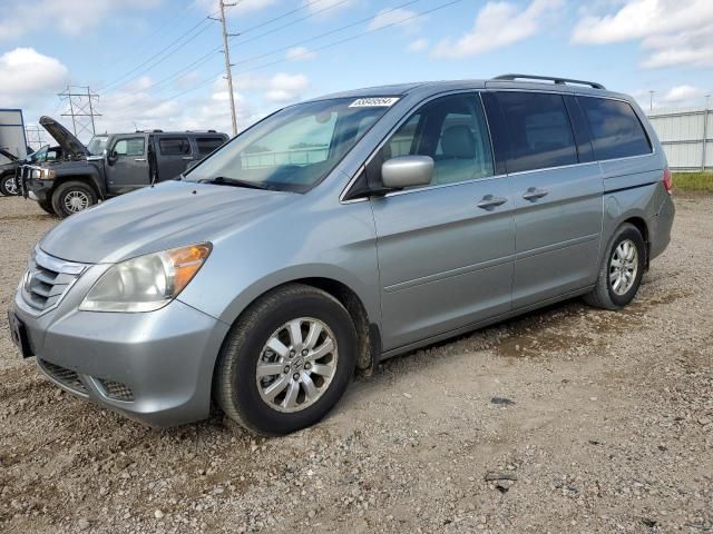 2009 Honda Odyssey EXL