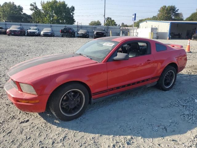 2005 Ford Mustang