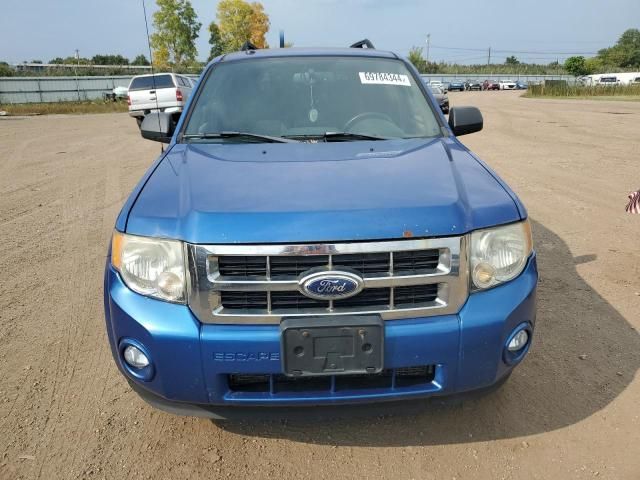 2011 Ford Escape XLT