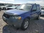 2006 Ford Escape XLT