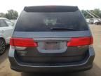 2010 Honda Odyssey EXL