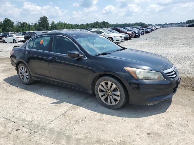 2011 Honda Accord EXL