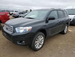 Salvage cars for sale at Brighton, CO auction: 2009 Toyota Highlander Hybrid Limited