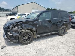 Salvage cars for sale at Lawrenceburg, KY auction: 2021 Lexus GX 460 Premium