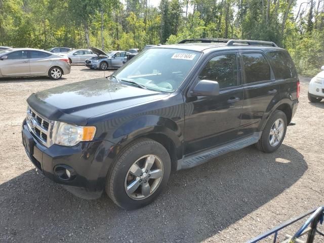 2009 Ford Escape XLT