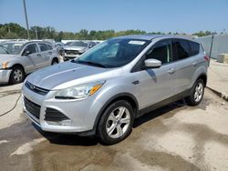 Salvage cars for sale at Louisville, KY auction: 2016 Ford Escape SE