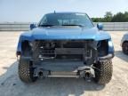 2019 Ford F150 Raptor