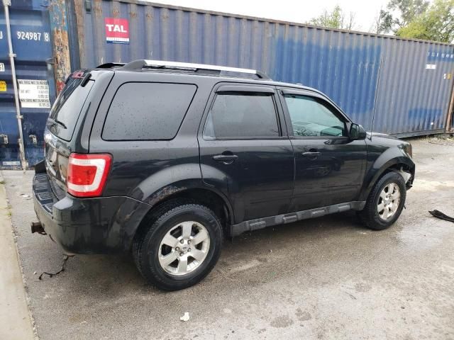 2011 Ford Escape Limited