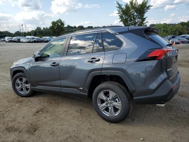 2024 Toyota Rav4 XLE