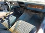 1977 American Motors Gremlin